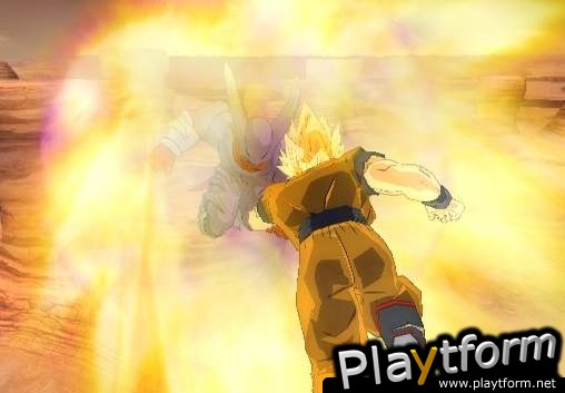 Dragon Ball Z: Budokai Tenkaichi (PlayStation 2)