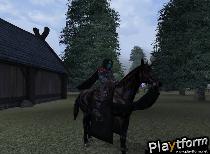 Dark Age of Camelot: Darkness Rising (PC)