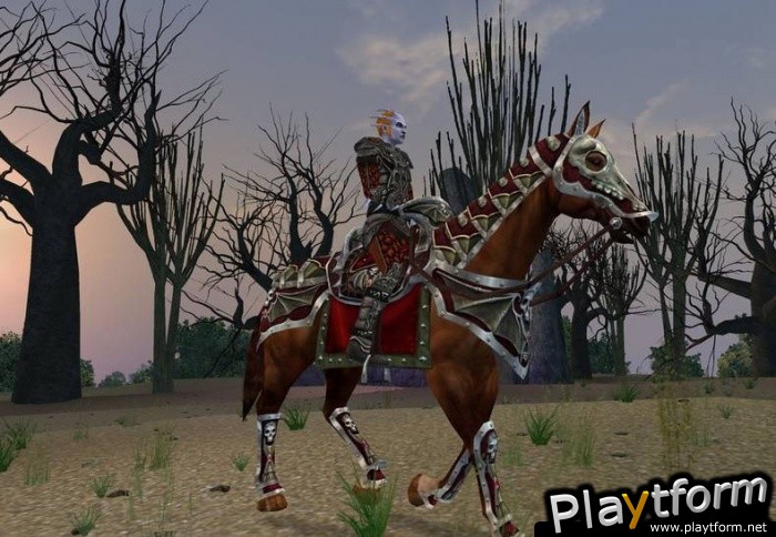 Dark Age of Camelot: Darkness Rising (PC)