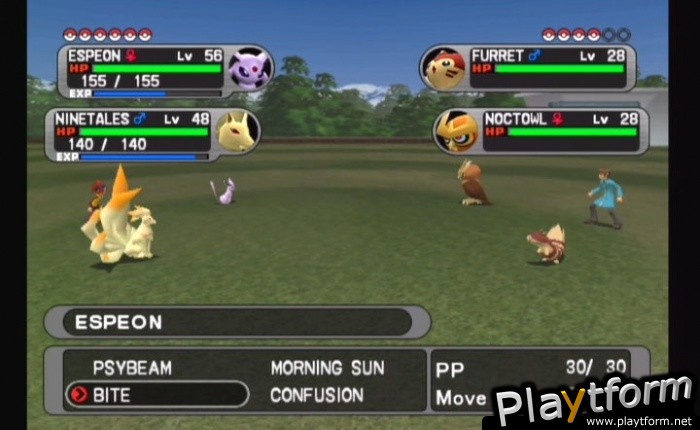 Pokemon XD: Gale of Darkness (GameCube)