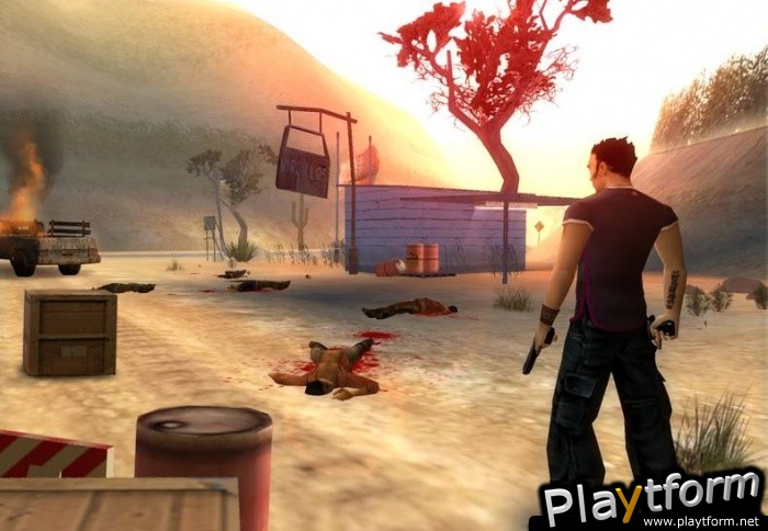 Total Overdose: A Gunslinger's Tale in Mexico (PlayStation 2)