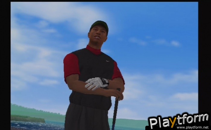 Tiger Woods PGA Tour 06 (PlayStation 2)