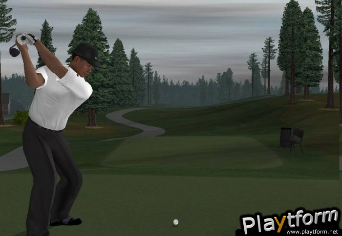 Tiger Woods PGA Tour 06 (PlayStation 2)