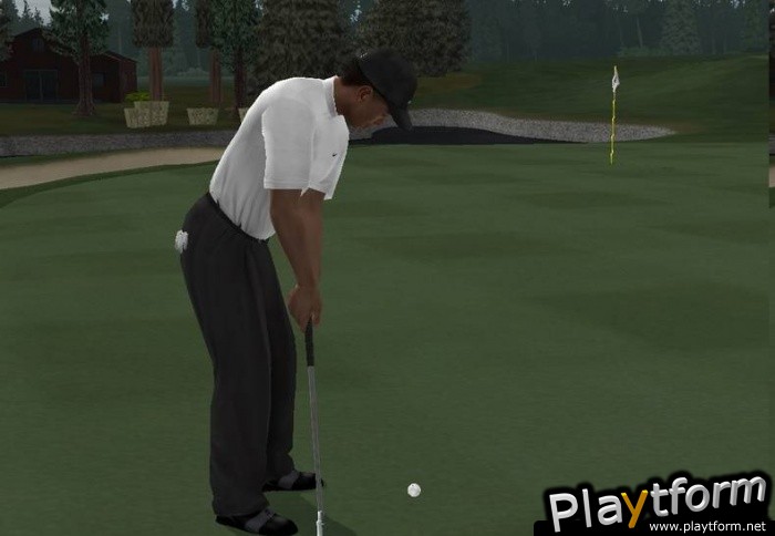 Tiger Woods PGA Tour 06 (PlayStation 2)