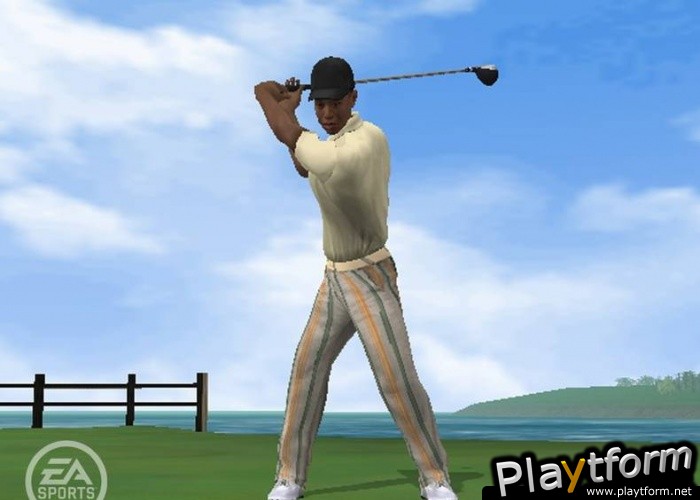 Tiger Woods PGA Tour 06 (PlayStation 2)