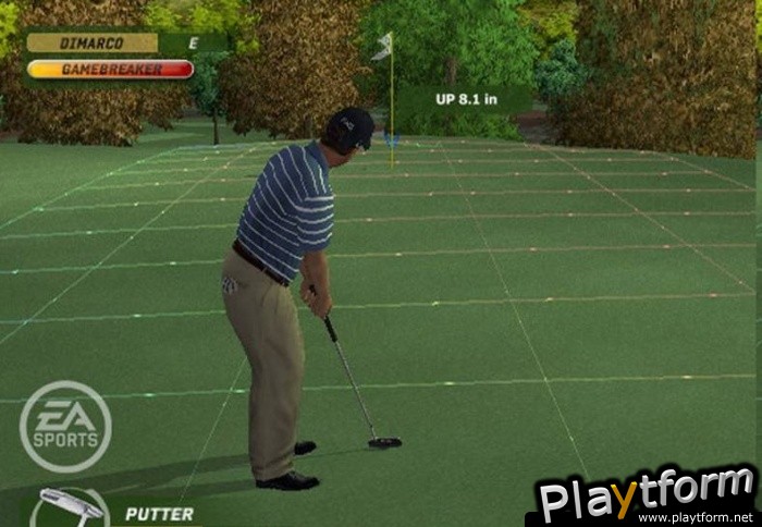 Tiger Woods PGA Tour 06 (PlayStation 2)