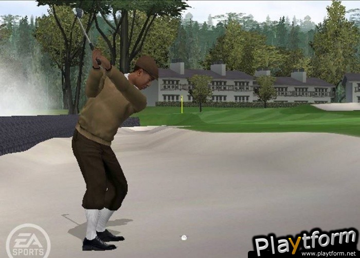 Tiger Woods PGA Tour 06 (PlayStation 2)