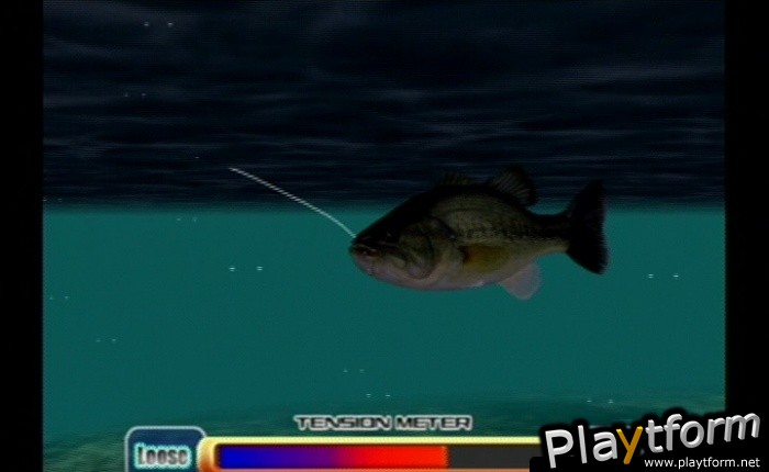 Mark Davis Pro Bass Challenge (GameCube)