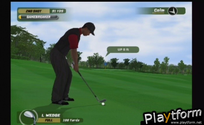 Tiger Woods PGA Tour 06 (GameCube)