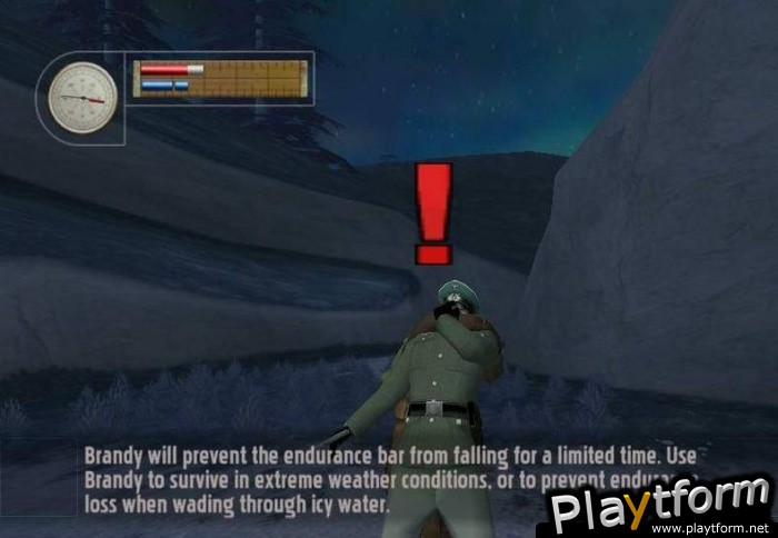 Pilot Down: Behind Enemy Lines (PlayStation 2)