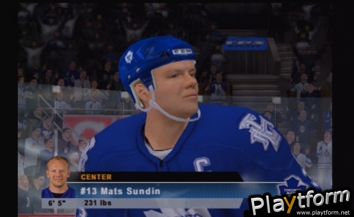 NHL 06 (PlayStation 2)