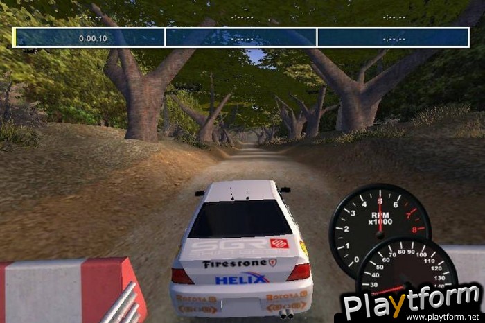 Euro Rally Champion (PlayStation 2)