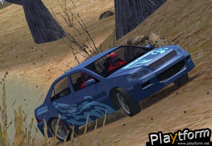 Euro Rally Champion (PlayStation 2)