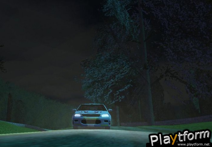 Euro Rally Champion (PlayStation 2)