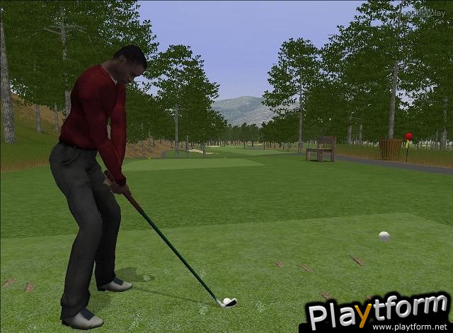 CustomPlay Golf (PC)