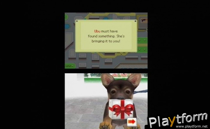 Nintendogs: Dachshund and Friends (DS)