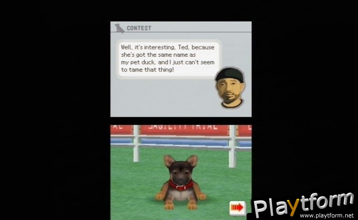 Nintendogs: Dachshund and Friends (DS)