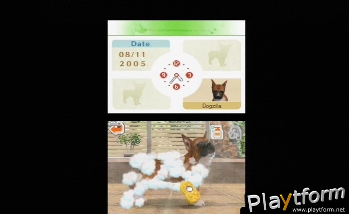 Nintendogs: Dachshund and Friends (DS)