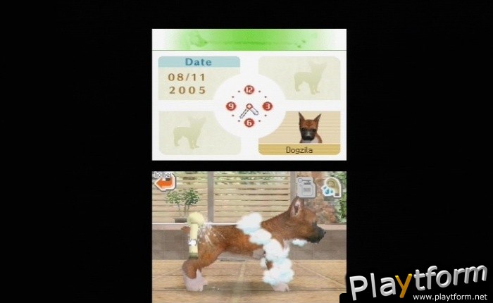 Nintendogs: Dachshund and Friends (DS)