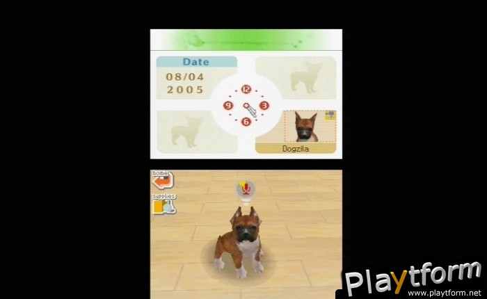 Nintendogs: Dachshund and Friends (DS)