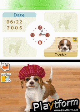 Nintendogs: Dachshund and Friends (DS)