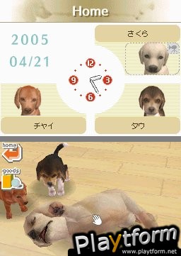 Nintendogs: Dachshund and Friends (DS)