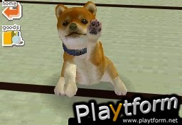 Nintendogs: Dachshund and Friends (DS)