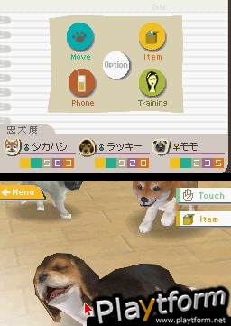 Nintendogs: Dachshund and Friends (DS)