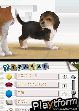 Nintendogs: Dachshund and Friends (DS)