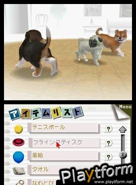 Nintendogs: Dachshund and Friends (DS)