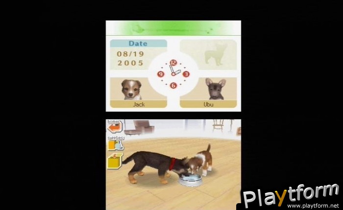 Nintendogs: Chihuahua and Friends (DS)