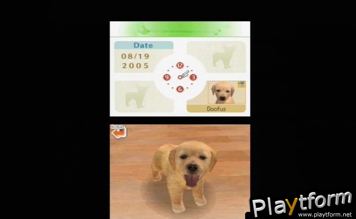 Nintendogs: Chihuahua and Friends (DS)