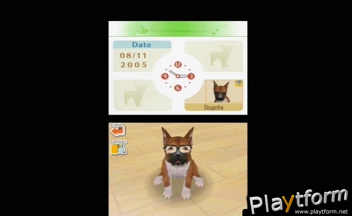 Nintendogs: Chihuahua and Friends (DS)