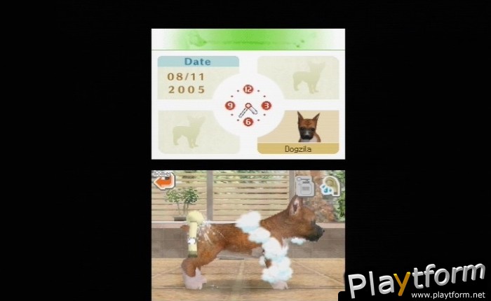 Nintendogs: Chihuahua and Friends (DS)