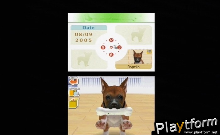 Nintendogs: Chihuahua and Friends (DS)