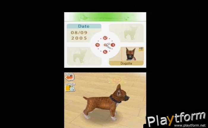 Nintendogs: Chihuahua and Friends (DS)