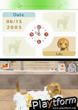 Nintendogs: Chihuahua and Friends (DS)