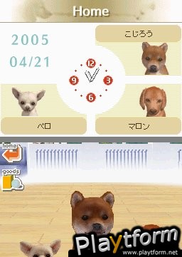 Nintendogs: Chihuahua and Friends (DS)