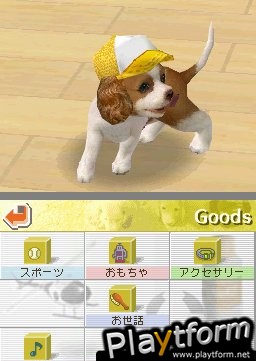 Nintendogs: Chihuahua and Friends (DS)