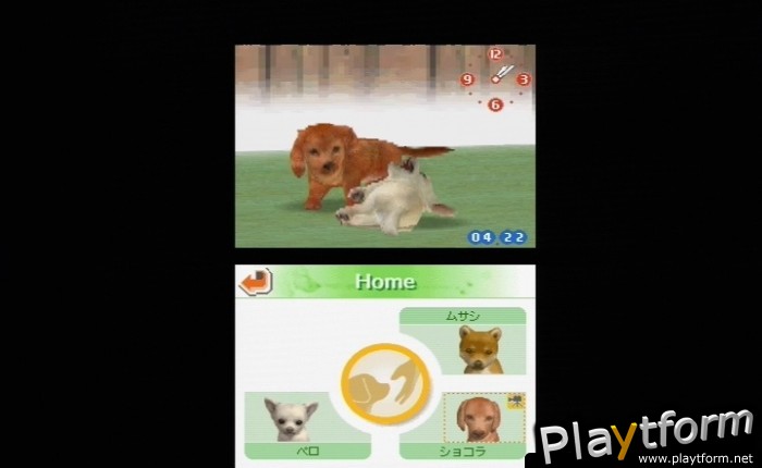 Nintendogs: Chihuahua and Friends (DS)