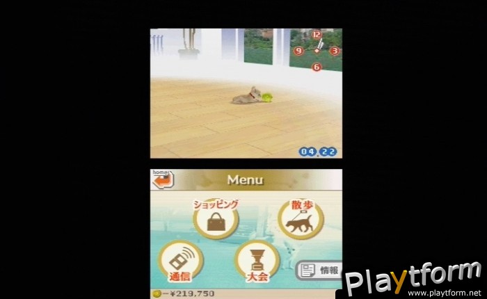 Nintendogs: Chihuahua and Friends (DS)