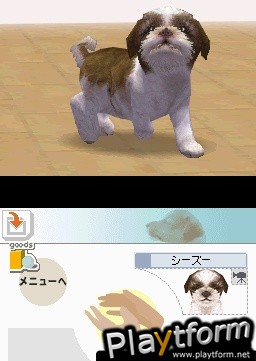 Nintendogs: Chihuahua and Friends (DS)