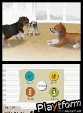 Nintendogs: Chihuahua and Friends (DS)