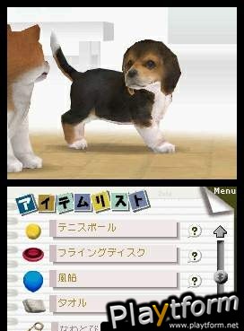 Nintendogs: Chihuahua and Friends (DS)