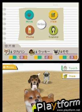 Nintendogs: Chihuahua and Friends (DS)