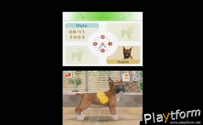 Nintendogs: Labrador and Friends (DS)