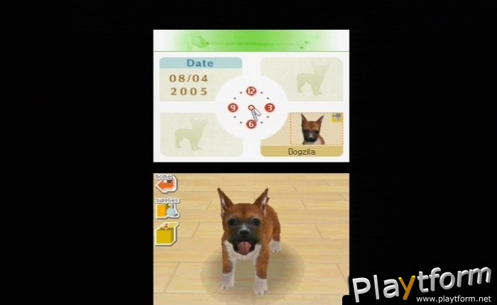 Nintendogs: Labrador and Friends (DS)