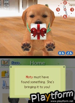 Nintendogs: Labrador and Friends (DS)