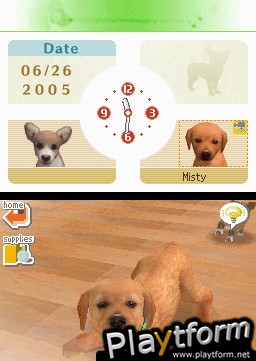 Nintendogs: Labrador and Friends (DS)