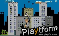 Paperboy / Rampage (Game Boy Advance)